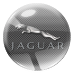 bagazniki dachowe jaguar